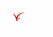 Capricorn Consulting GmbH