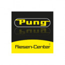Peter Pung GmbH & Co. KG